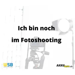 Notleuchten-Akku 4,8V 4000mAh L2x2 20cm Kabel 4/3 AU