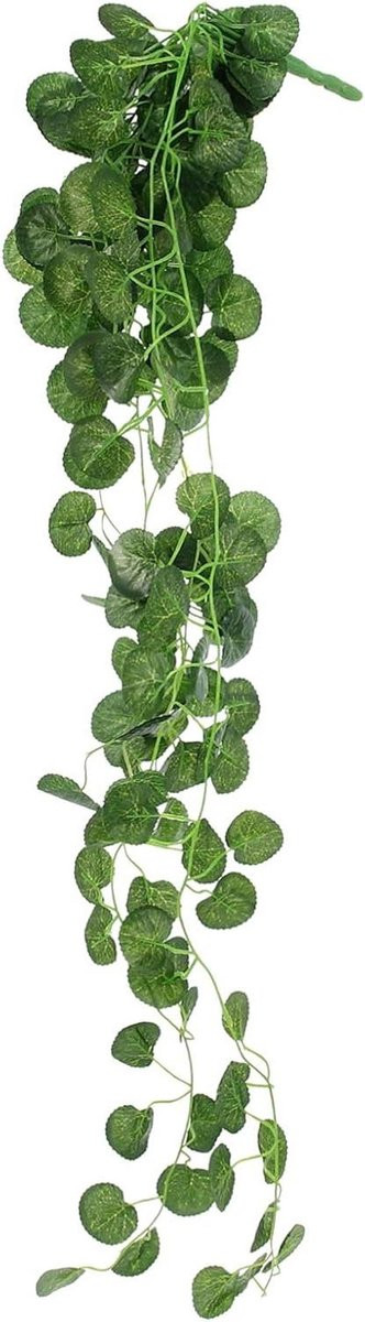 Set van 2 onderhoudsvrije groene hangplanten voor binnen decoratie