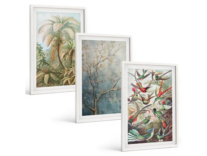 Tulup Bilder SET 3er Set - 40x60 cm Weißer Rahmen - Tropische Pflanzen, Vögel, Natur, Kunststoff, Rechteckig, 40x60 cm, gerahmt, Bilder & Rahmen, Bilder