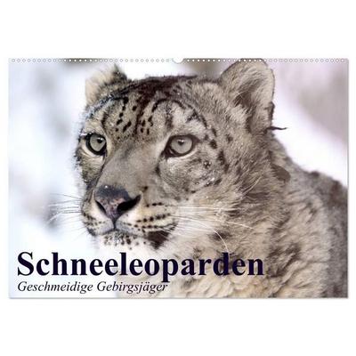 Schneeleoparden. Geschmeidige Gebirgsjäger (Wandkalender 2027 DIN A2 quer), CALVENDO Monatskalender