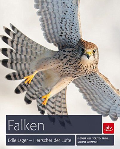 Michael Lohmann - Falken: Edle Jäger - Herrscher der Lüfte - Preis vom 04.10.2026 03:51:26 h