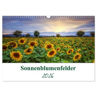 Sonnenblumenfelder (Wandkalender 2026 DIN A3 quer), CALVENDO Monatskalender