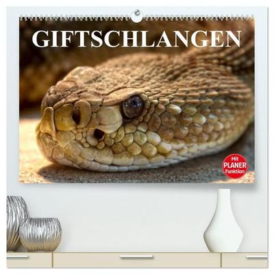Giftschlangen (hochwertiger Premium Wandkalender 2027 DIN A2 quer), Kunstdruck in Hochglanz
