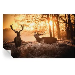 FOTOTAPETE 416x254 cm - Rehe am Morgen