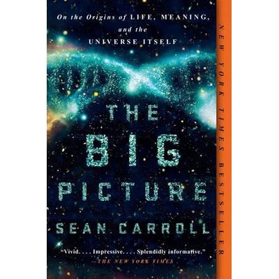 The Big Picture, Taschenbuch von Sean Carroll, Penguin LLC US
