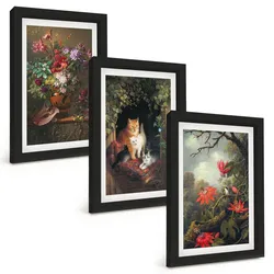 BILDER SET 3er Set - 20x30 cm Schwarzer Rahmen - Vintage-Blumen, Katzen, Natur