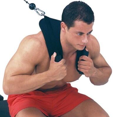United Shape Back Support Strap For Core & Posture Correction Shape Back Support Strap For Core & Posture Correction
