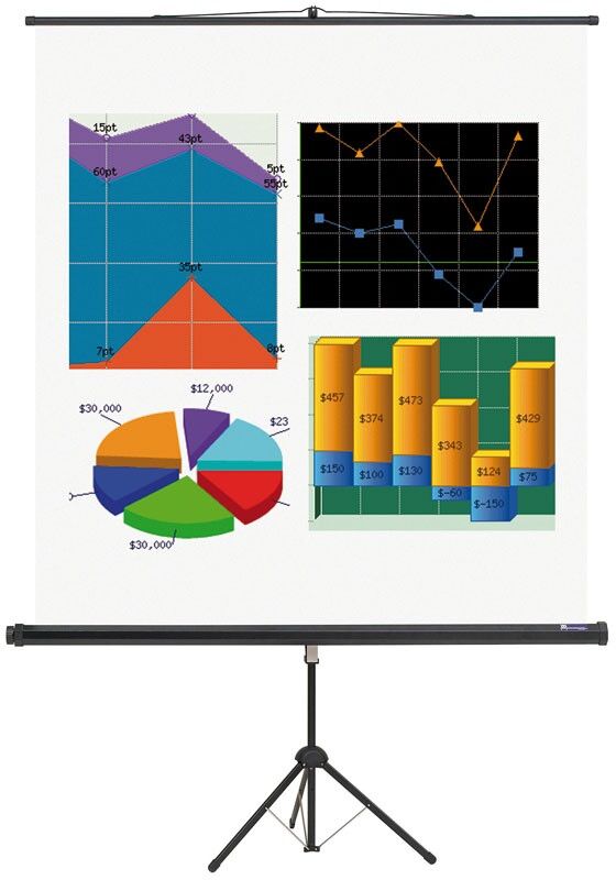 B2B Partner Projektionsleinwand mit Ständer, 2400 x 1800 mm