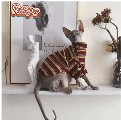 Inspire Curations RetroCool Hairless Cat Summer T Shirt red l