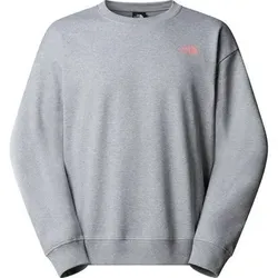 THE NORTH FACE Herren Pullover U EXPEDITION CELEBRATION OVERSIZED CREW, Größe S in Silber Silber