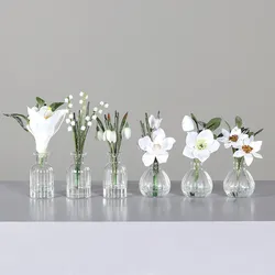 dpi Weihnachtsblumen im Glas, 18-24 cm