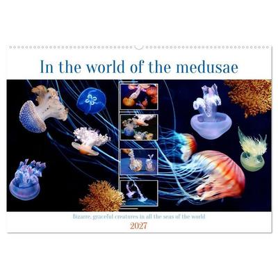In the world of the medusae (Wall Calendar 2027 DIN A2 landscape), CALVENDO 12 Month Wall Calendar
