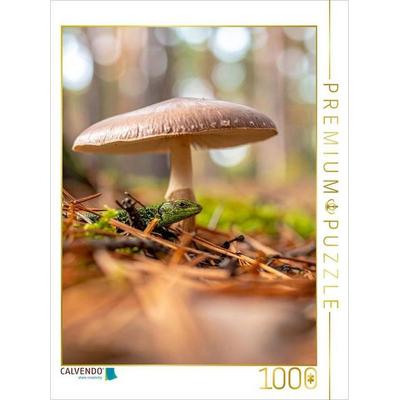CALVENDO Puzzle Schirmpilz und Eidechse | 1000 Teile Lege-Größe 64x48cm Foto-Puzzle für glückliche Stunden