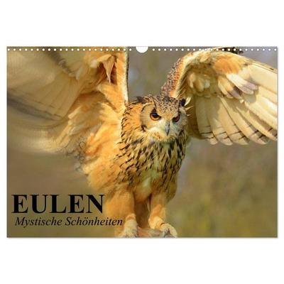 Eulen. Mystische Schönheiten (Wandkalender 2026 DIN A3 quer), CALVENDO Monatskalender