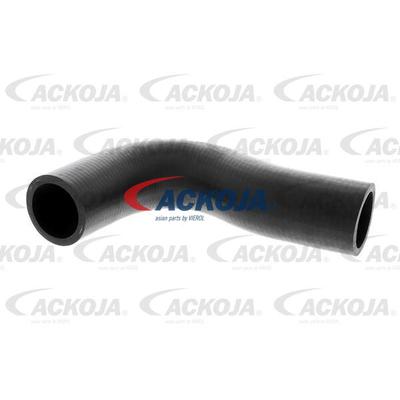 ACKOJA Kühlerschlauch A51-1602 oben für CHEVROLET