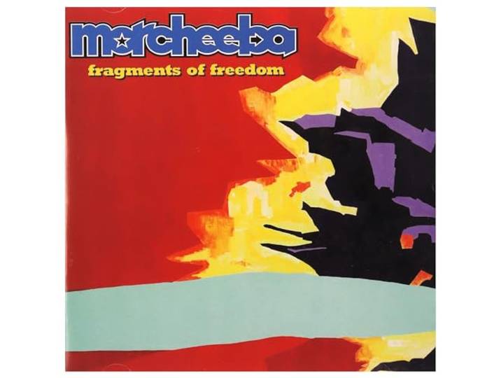 Fragments Of Freedom
