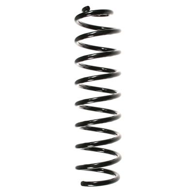 SPIDAN Fahrwerksfeder 56173 Hinterachse für RENAULT