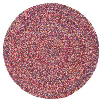 SAFAVIEH Braided Epraxia Cotton Flatweave Rug