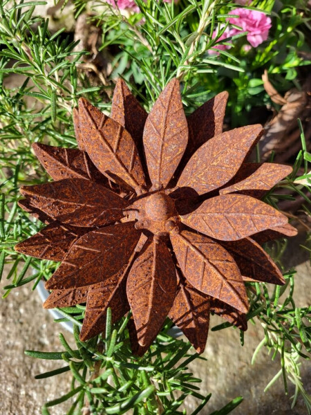 Edelrost Blume Claire tafeldecoratie