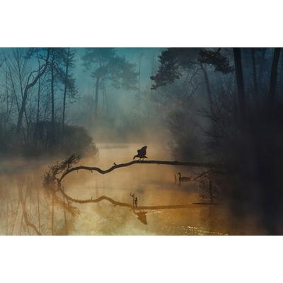Fototapete PAPERMOON "Photo-Art ANTON VAN DONGEN, BLAUE STUNDE", bunt, B:4,5m L:2,8m, Vlies, Tapeten
