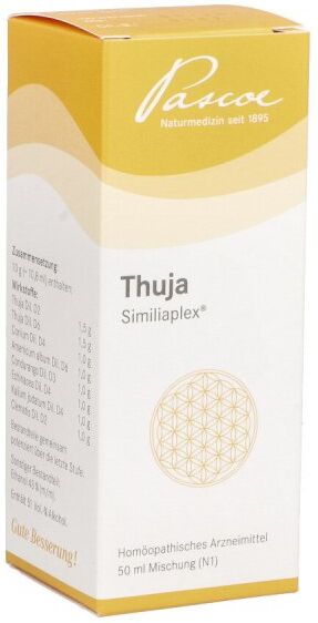 Thuja Similiaplex Mischung