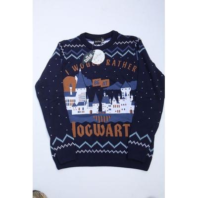 Harry Potter - Hogwarts Jumper Large
