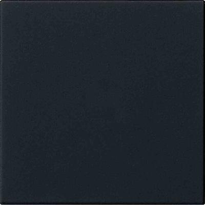 Gira System 3000 Bedienaufsatz, System 55 Schwarz matt