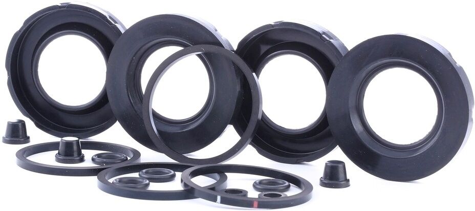 RIDEX 405R2301 Repair Kit, brake caliper