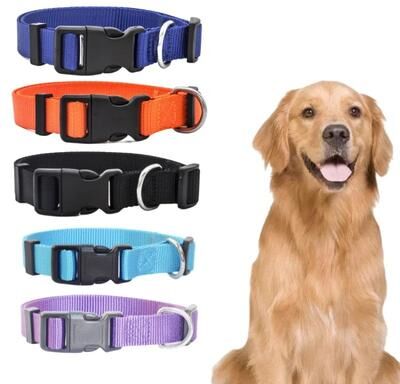 Inspire Select Adjustable Nylon Pet Collar Durable Lightweight Neck Band For Small & Medium Dogs, Puppies And Cats cw023 blue xl
