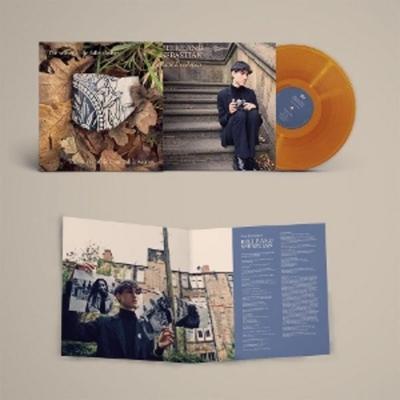 Late Developers - Strictly Limited Orange Coloured - Belle and Sebastian, Vinyl