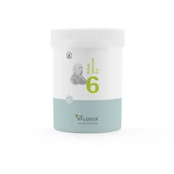Biochemie Pflüger Schüßler-Salz Nr. 6 Kalium sulfuricum D6 1000 St