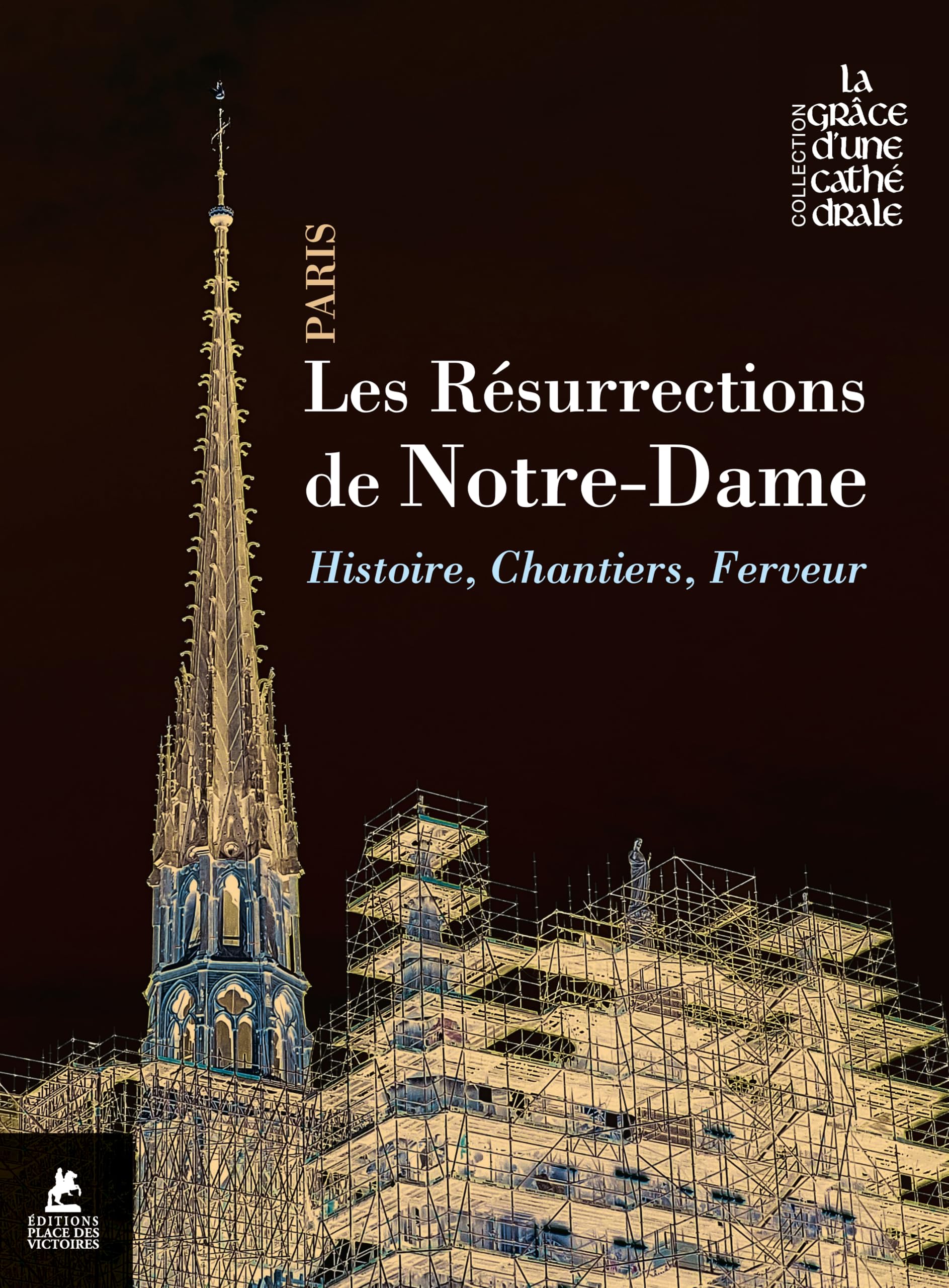Delphine Bastet - Les résurrections de Notre-Dame : histoire, chantiers, ferveur - Preis vom 10.10.2026 11:48:34 h
