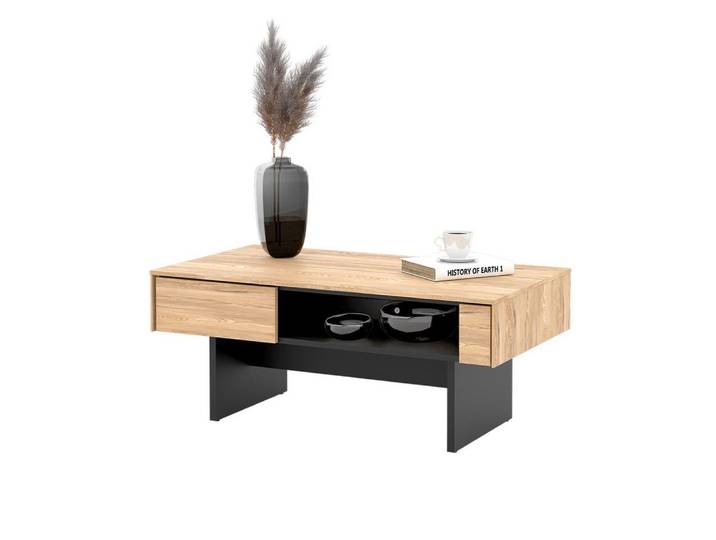 Compleo Couchtisch PORTO (Tisch für Wohnzimmer aus dem Regal) 110 x 46 x 60, Loft stil