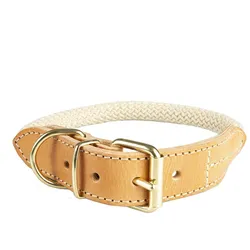 Duvoplus Explor Forest (47, Hund, Allgemein, Spazieren), Halsband + Leine