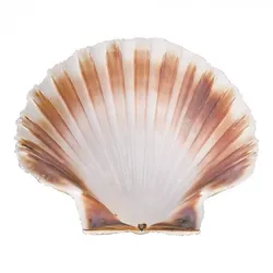 EMGA Schale Ø120mm