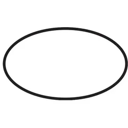 hansgrohe O-Ring 48 x 5 mm 98174000