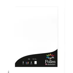Pollen 10x Papier A4 Pollen 120g 50 Blatt - Weiß 4239C