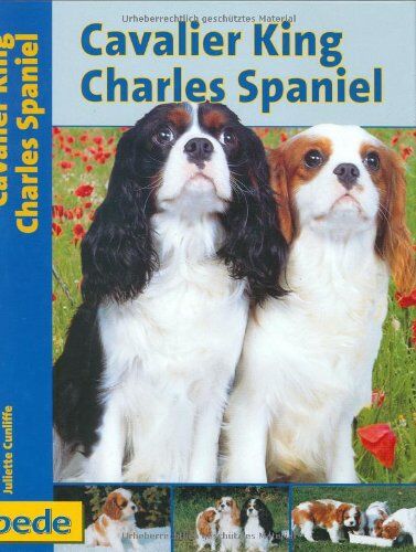 Juliette Cunliffe - Cavalier King Charles Spaniel, Praxisratgeber - Preis vom 09.10.2026 07:28:09 h