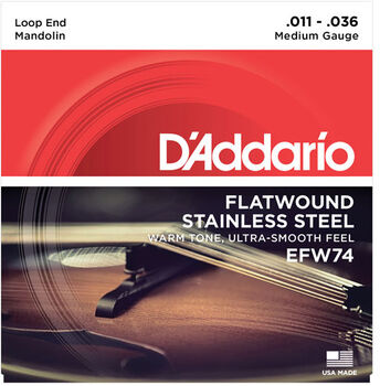 Daddario EFW74