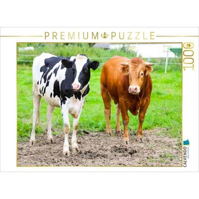 CALVENDO Puzzle Limousin-Bulle Silas mit Frau | 1000 Teile Lege-Größe 64x48cm Foto-Puzzle für glückliche Stunden