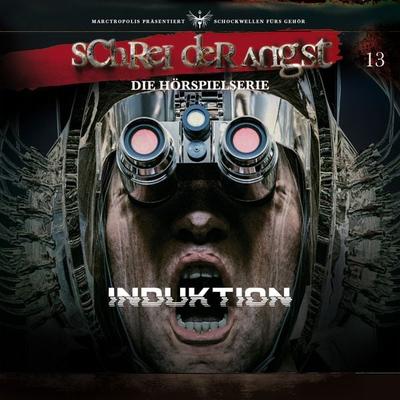 Folge 13 - Induktion - Carsten Fehse, Audio, 4056813310221