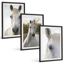 BILDER SET 3er Set - 40x60 cm Schwarzer Rahmen - Weiße Pferde in der Natur