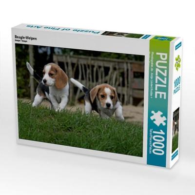 CALVENDO Puzzle Beagle-Welpen | 1000 Teile Lege-Größe 64x48cm Foto-Puzzle für glückliche Stunden