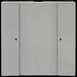 Busch-Jaeger KNX 2CKA006115A0200 Tastsensor 6125/02-866