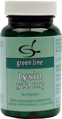 11 A Nutritheke GmbH LYSIN 500 mg Kapseln 39.6 g 09238298