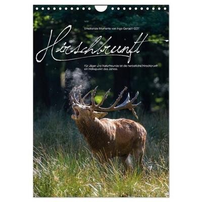Emotionale Momente: Hirschbrunft (Wandkalender 2027 DIN A4 hoch), CALVENDO Monatskalender