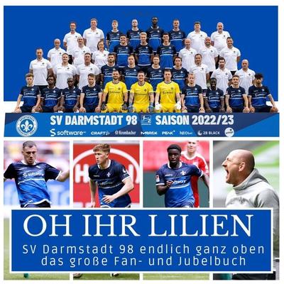 SV Darmstadt 98 -