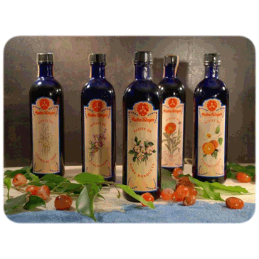 Radhe Shyam Aprikosenöl 200 ml