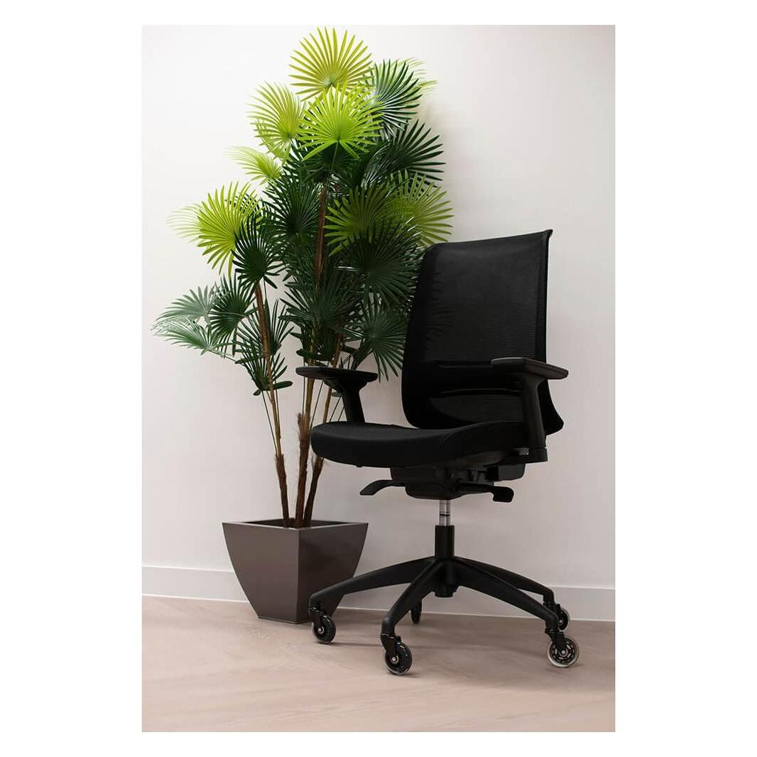 Desire2 Swivel Castor (D2CHWH5)