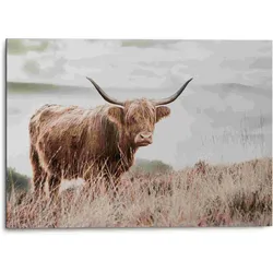 Bild HIGHLANDER (BHT 70x50x2 cm) - BHT 70x50x2 cm